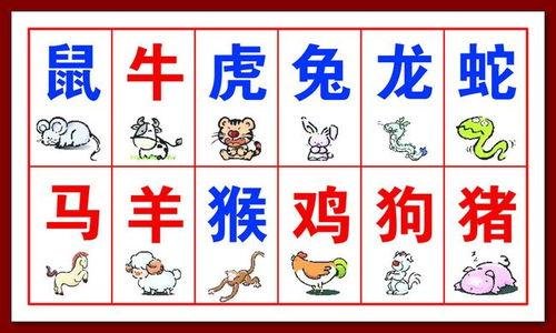 87年属什么生肖属相