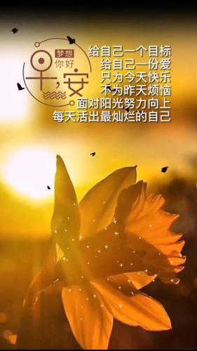 金牛座:不为昨天叹息,只为今天美好