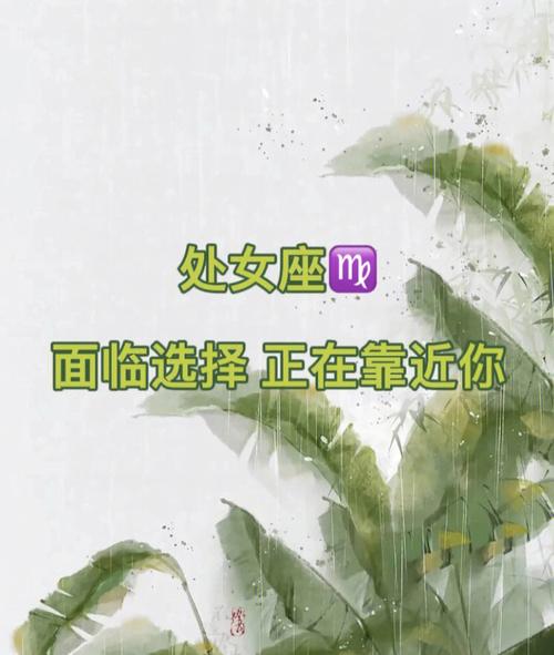 处女座会选择在2023年结婚吗?