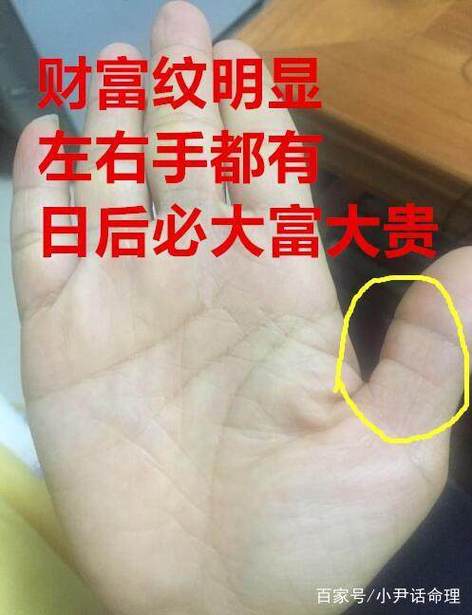 男人财运最富的手相