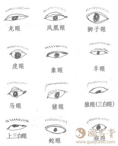 眼睛面相与前途事业运图解超准