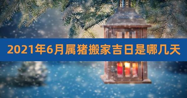 属猪人2021年适合搬家吗