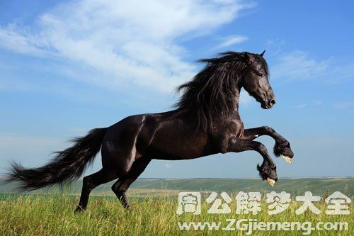 梦见马好吗是什么意思