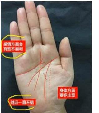 此生注定是多婚的女人手相
