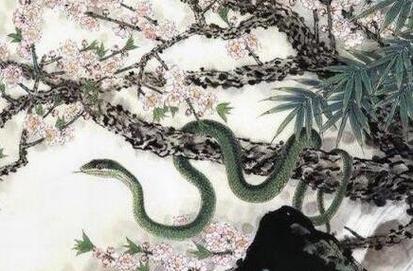 属蛇五月出生者必看