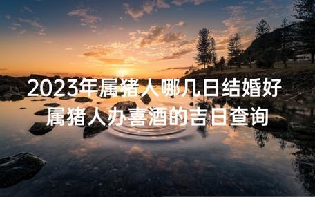 2018年属猪的人几月结婚好?