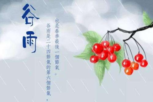2019年阴历三月十六谷雨出生男孩富贵命吗,今年谷雨几点开始?