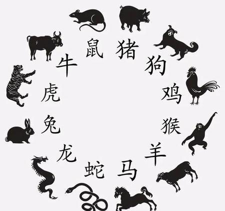 太直接会让这些生肖失去很多的朋友