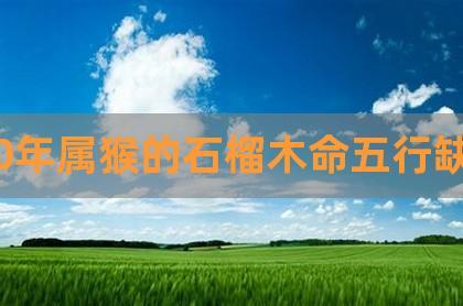 1980年石榴木命 人生积极有进取