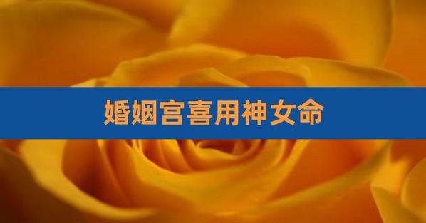 喜用神夫妻宫什么意思,夫妻宫为喜用神的女命