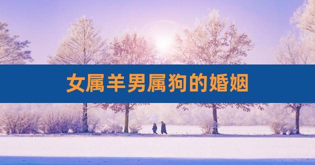 女狗男羊生肖配对姻缘