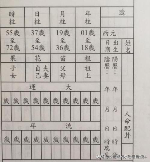 学霸的生辰八字分析,学霸八字实例子