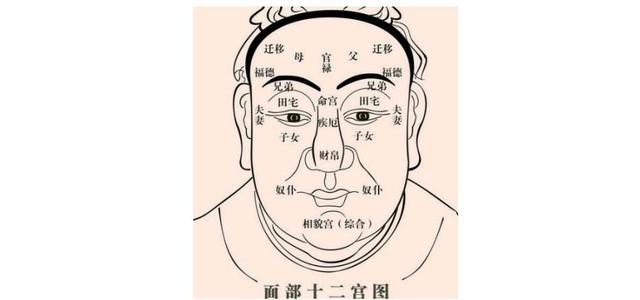 如何从面相看一个人的子女运