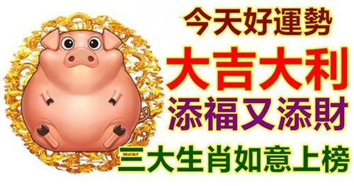 下半年可以收获很多惊喜的三大生肖,事业爱情都旺,求钱如意