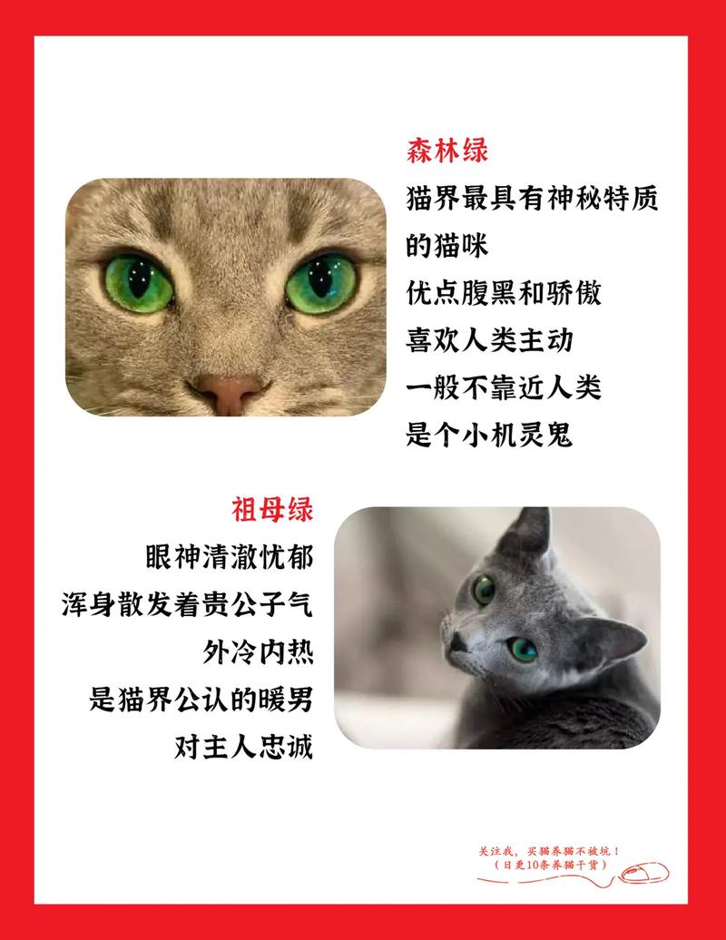 论眼睛的大小看性格