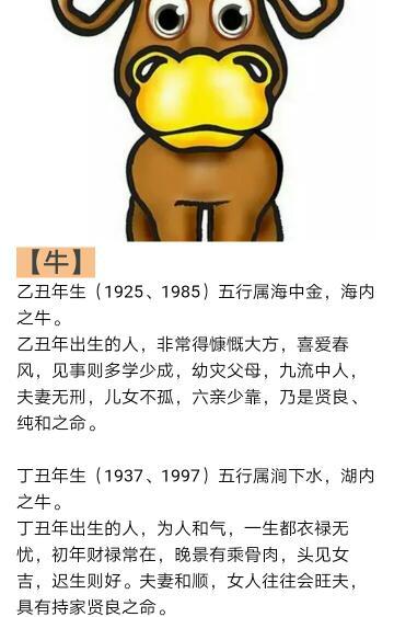 1997年出生的人属什么什么性格