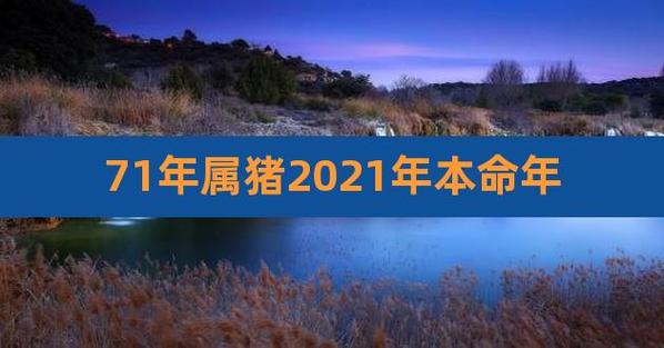 71年属猪人2022年整体运势怎么样