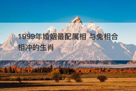 和兔最配的属相是什么