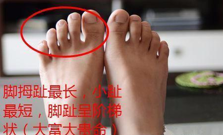 脚趾肥圆的人是不是代表好命?