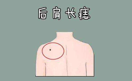 男人哪几个部位越大越富贵?