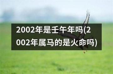 2002年属马人2021年的运程
