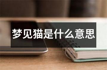 梦见猫是什么意思,周公解梦在线分析