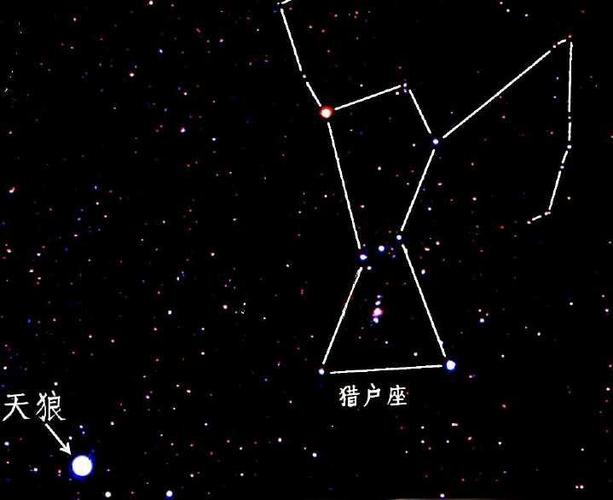 天狼星在哪个星座