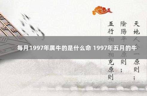 五月生的牛人命怎么样