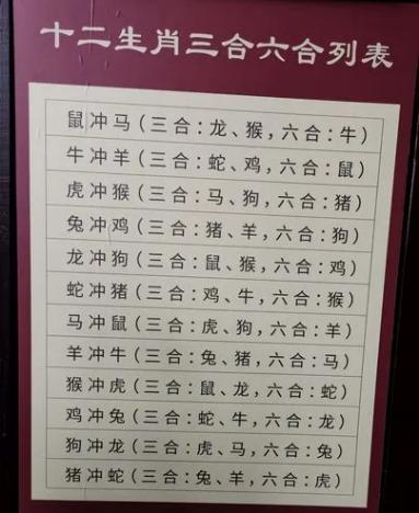 兔子和什么属相相冲