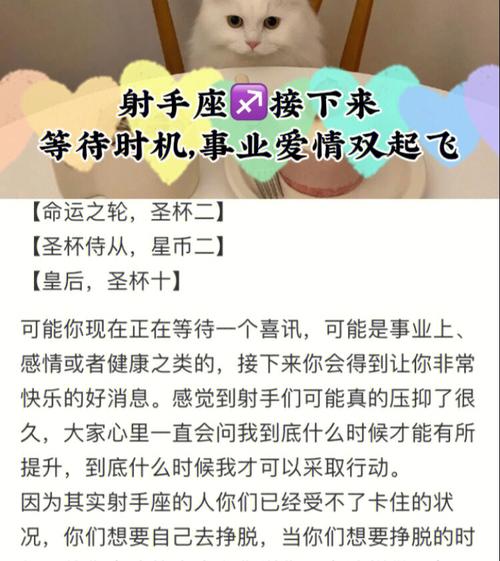 射手座愿意用多少年去等待真爱?