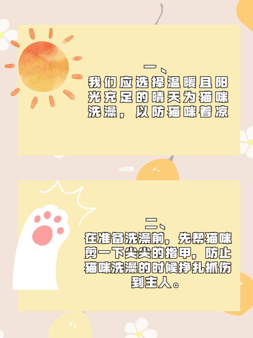 如果梦见给猫洗澡最近要注意什么问题