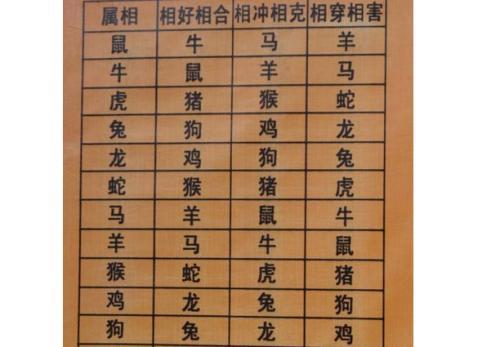 属猪的人属相姻缘表