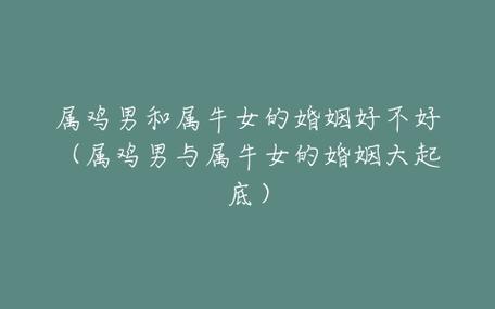 属鸡男和属牛女的婚姻配吗
