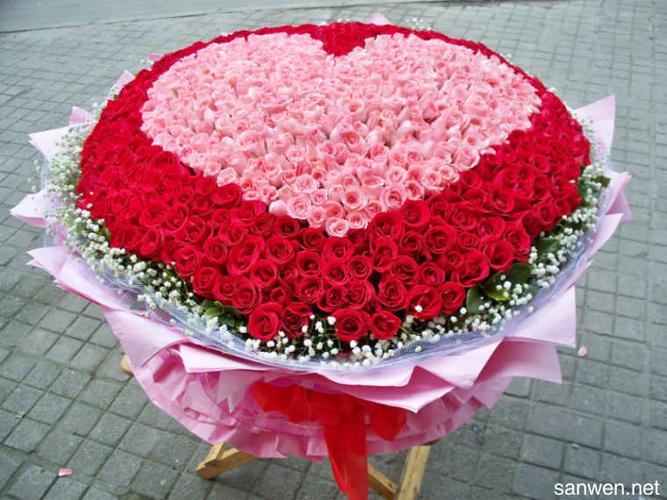 友谊花语:送什么花代表友谊?