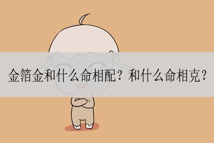 金箔金命和什么命最配