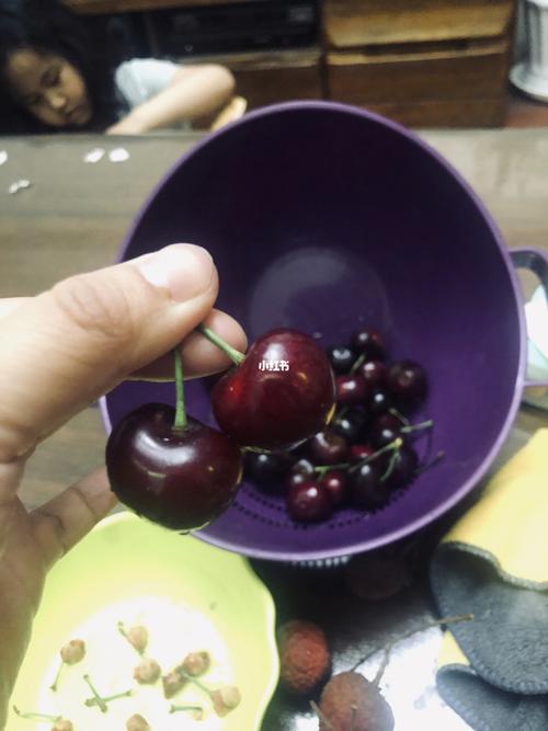 紫色的樱桃叫什么名字