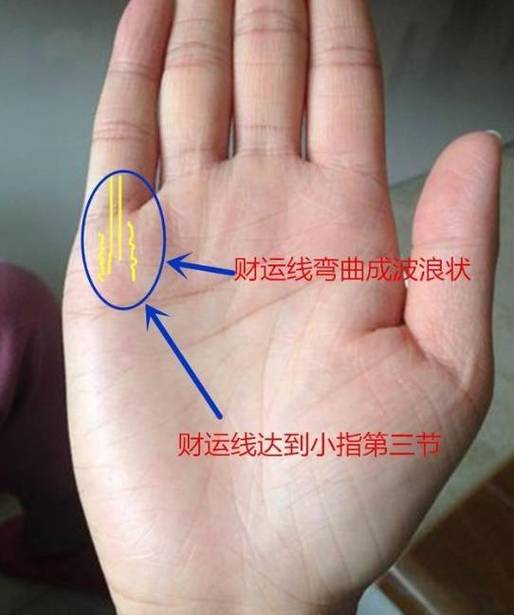 手相凌乱弯曲的财运线,最命苦,事业平平