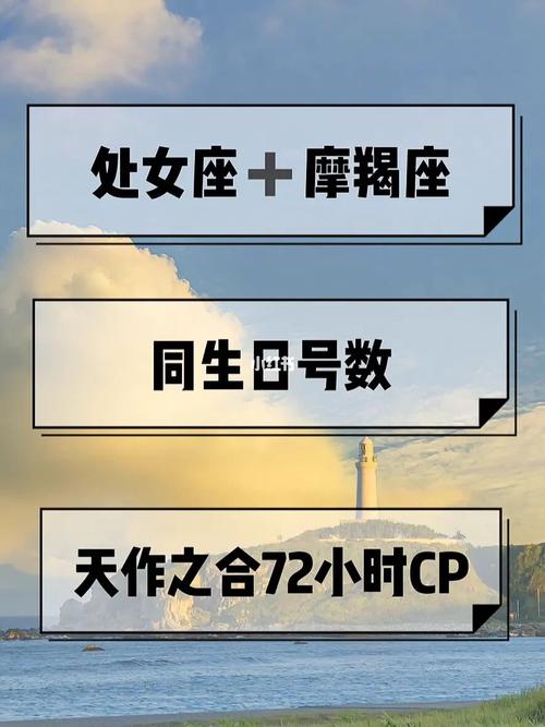 星座射手女和摩羯男配对指数是多少