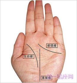 男人手纹乱代表什么能否事业有成