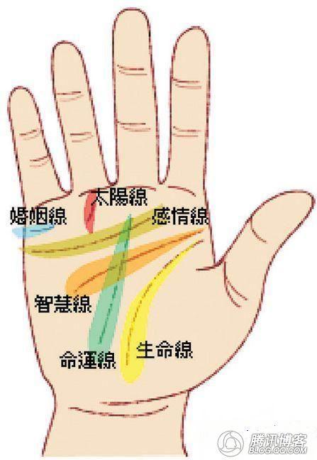 新手相学对川字掌的解说