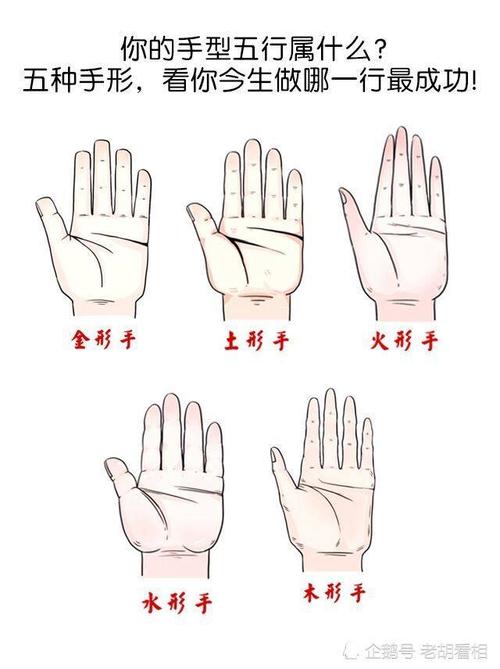 手形算命:水形手的性格分析