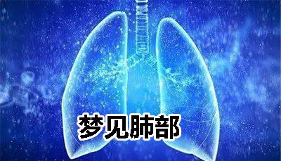 梦见肺部