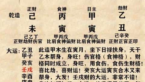 八字身旺财旺什么意思