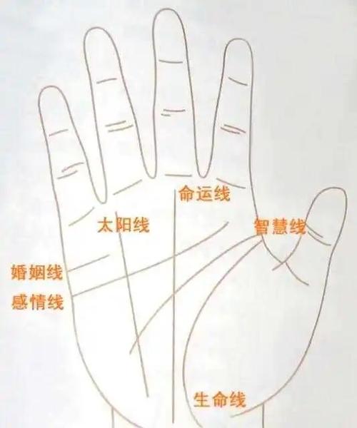 三种手指长短看命运图