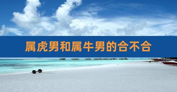 属牛的人和属虎的人配吗?