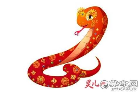 生肖蛇一生运势