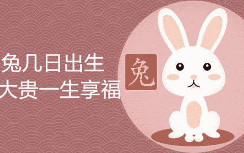 属兔哪日出生是上等之命大富大贵
