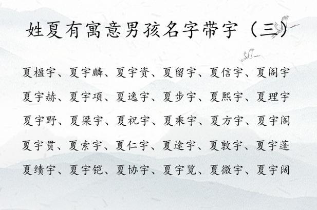 夏姓取名带锦字名字