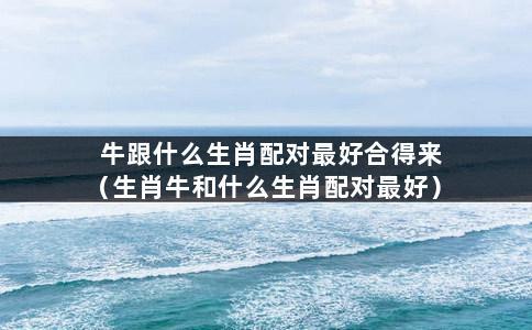 属牛和什么合得来