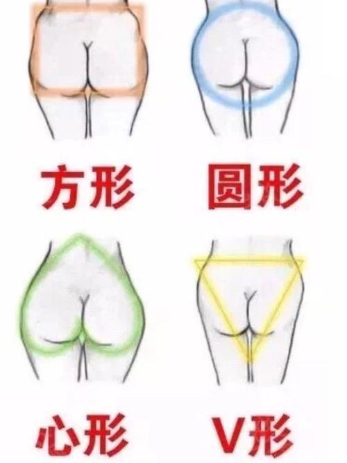 臀部不同体相代表什么含义?